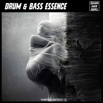 Various Artists - Drum & Bass Essence