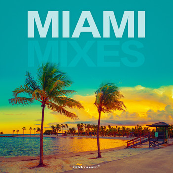 Various Artists - Miami Mixes