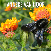 Anneke Van Hoof - O, Caballero