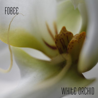 Fobee - White Orchid