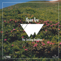 The Smiling Buddhas - Alpine Rose