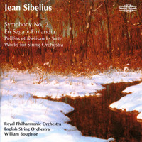 Various Artists - Sibelius: Orchestral Favourites, Vol. XXIII