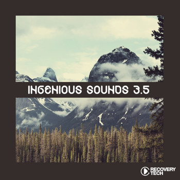 Various Artists - Ingenious Sounds Vol. 3.5