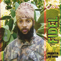 Fidel Nadal - Puerta de Oro
