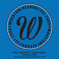 Paul Sawyer feat. Anja Monn - I'm Into You
