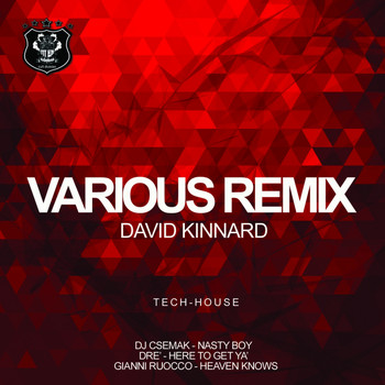 David Kinnard - Various Remix