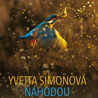 Yvetta Simonová - Náhodou