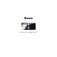 Seam - Are You Driving Me Crazy?