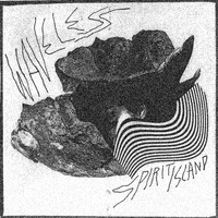 Waveless - Spirit Island