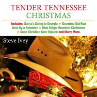 Steve Ivey - Tender Tennessee Christmas