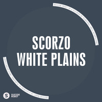 Scorzo - White Plains