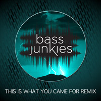 Bass Junkies - This Is What You Came For (Remix)