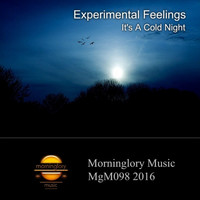 Experimental Feelings - It's A Cold Night