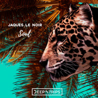Jaques Le Noir - Soul