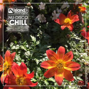 Various Artists - Island Moods Nu-Disco Chill