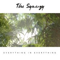 The Synergy - Everything in Everything