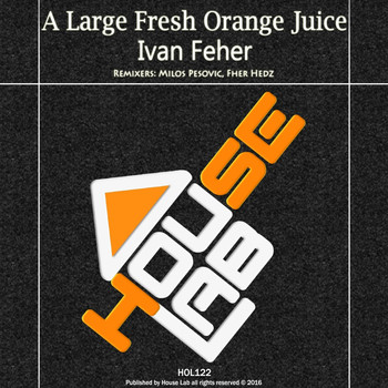 Ivan Feher - A Large Fresh Orange Juice