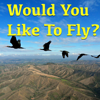 Various Artists - Would You Like To Fly?