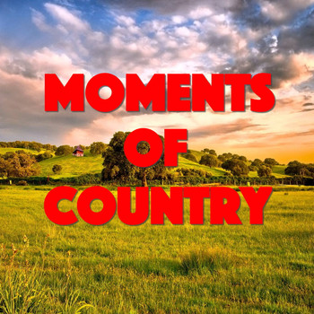 Various Artists - Moments Of Country