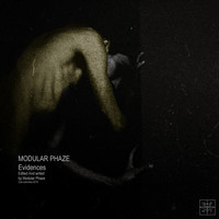 Modular Phaze - Evidences