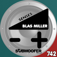 Blas Miller - Senses