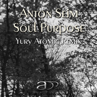 Anton Seim - Soul Purpose (Yury Atomic Remix)