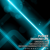 Pushee - Diamond Life