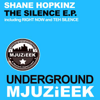 Shane Hopkinz - The Silence E.P.