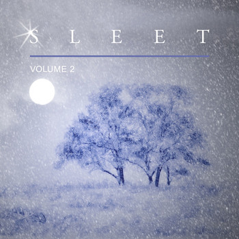 Various Artists - Sleet, Vol. 2