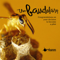 THE BAUDELAIRES - Congratulations on Your Decision to Become a Pilot - Single