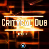 Critycal Dub - Best of ... Critycal Dub