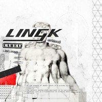 Lingk - Archived