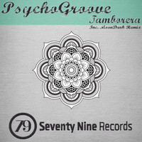 PsychoGroove - Tamborera