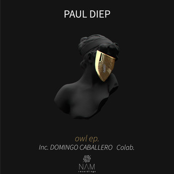 Paul Diep - Owl