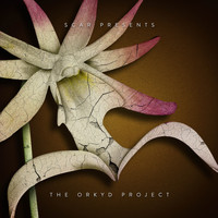 Scar - The Orkyd Project