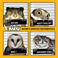 The Four Owls - Nature's Greatest Instrumentals