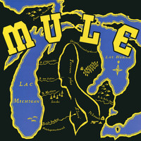 Mule - Mule