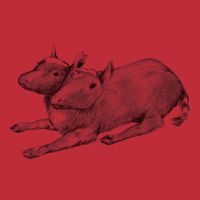 Quasi - Early Recordings