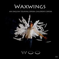 Woo - Waxwings (Instrumental version)