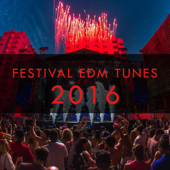 Various Artists - Festival EDM Tunes 2016