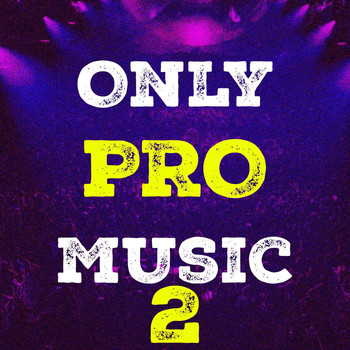 Various Artists - Only Pro Music, Vol. 2