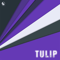 Y-rich - Tulip