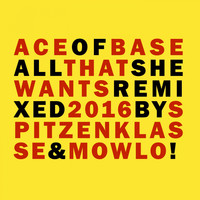 Ace of Base - All That She Wants (Remixes 2016)
