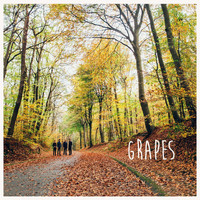Grapes - Grapes