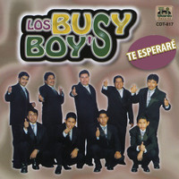 Los Busy Boy's - Te Esperaré