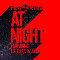 Flo Rida - At Night (feat. Liz Elias and Akon)