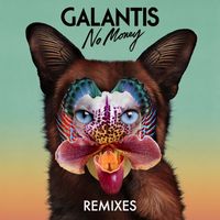 Galantis - No Money (Remixes)
