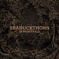 Seabuckthorn - In Nightfall