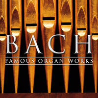 Otto Winter - Bach: Famous Organ Works