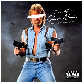 Troy Ave - Chuck Norris (Hoes & Gangstas) - Single (Explicit)